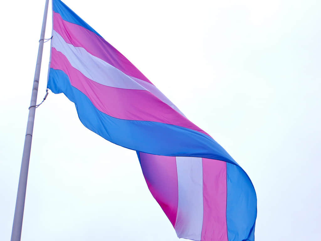 跨性别权利的一大进步!WHO不再将跨性别者列为精神疾病-NICEGAY